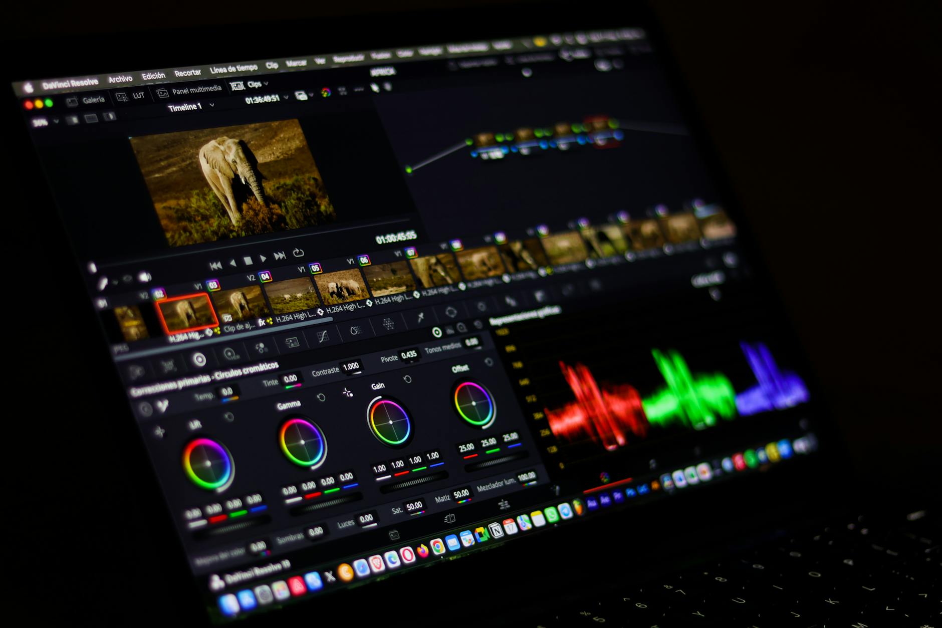 Mastering Color Grading Techniques for Beginners