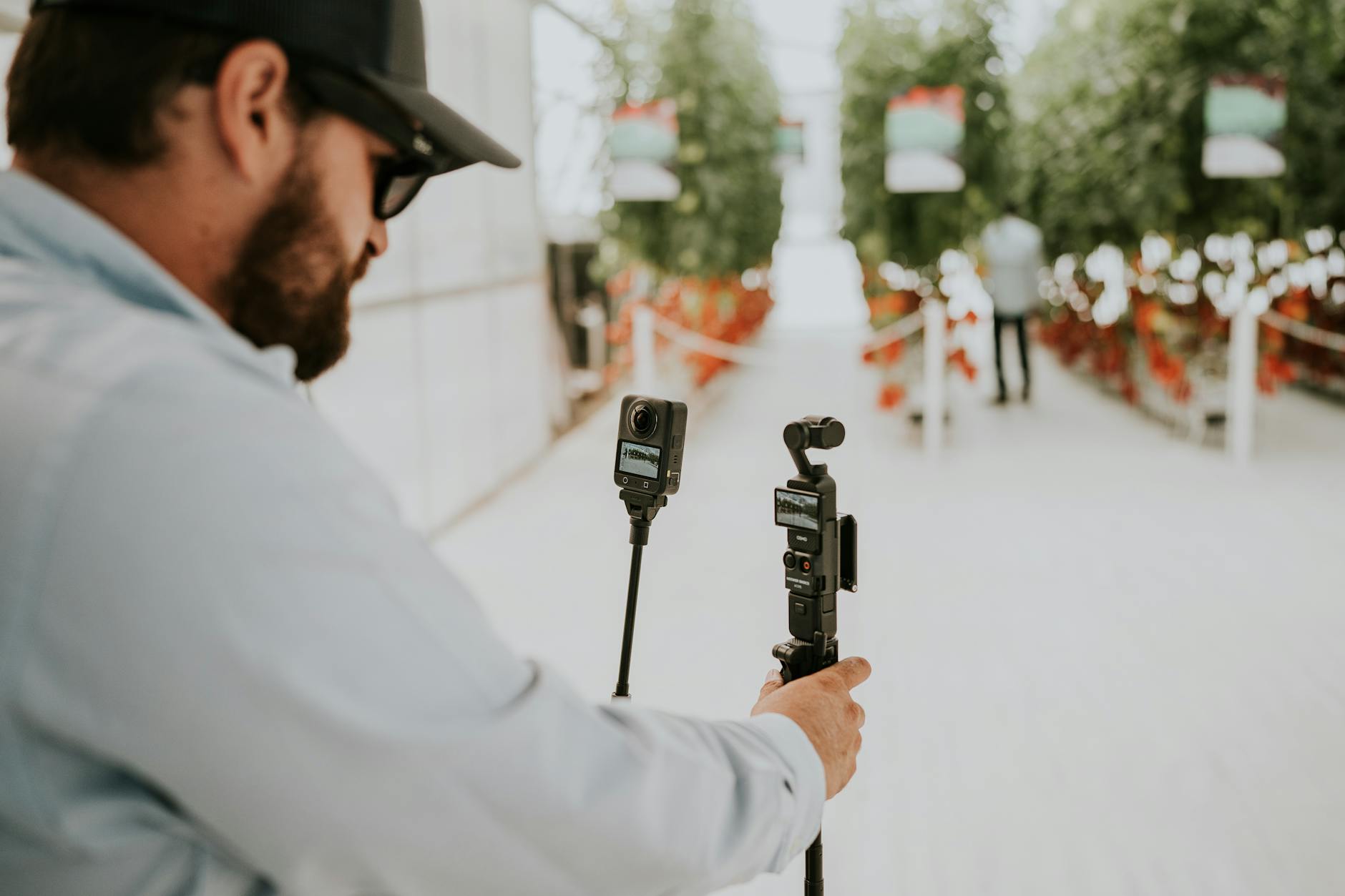 A technician uses cameras to record in a vibrant greenhouse filled with tomato plants.